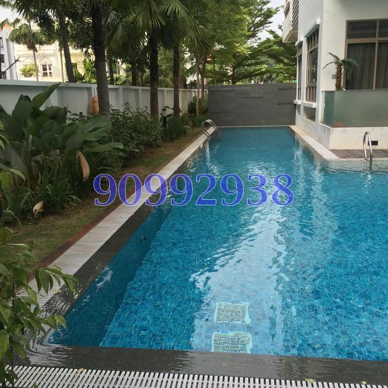 The Serennia (D15), Apartment #112079942
